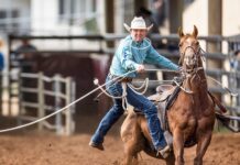 Champions return to Warwick for buckle battles