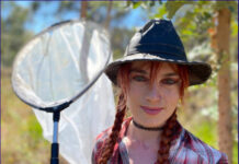 To bee or not to bee known: Study reveals gaps in Australia’s native bee awareness