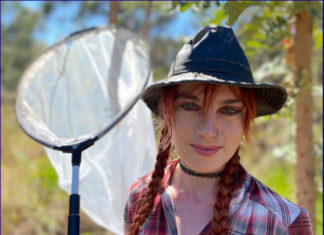 To bee or not to bee known: Study reveals gaps in Australia’s native bee awareness