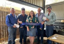 Strong entries in carcase comp