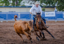 Tick-tock William Tapp wins the Chinchilla Grandfather Clock