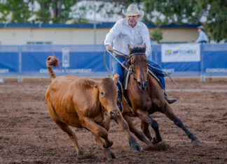 Tick-tock William Tapp wins the Chinchilla Grandfather Clock