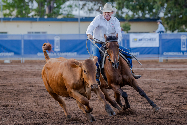 Chinchilla_514766_01