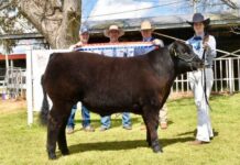 Proudly serving the region