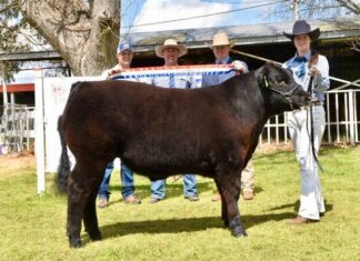 Proudly serving the region