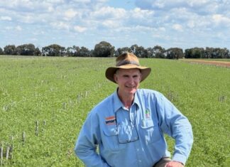 Giant hailstorms wipe out crops across southern Queensland