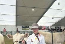 Third in Australia, best cattle parader