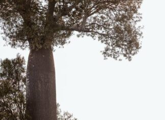 Landcare trailblazers invest in ag future