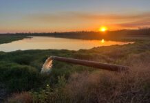 Premier operation on market