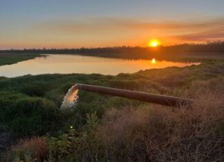 Premier operation on market