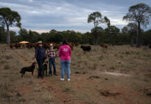 Farm Angels bring hope