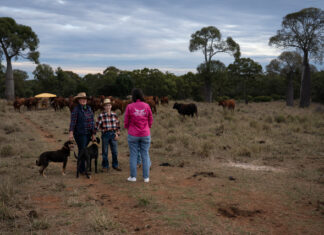 Farm Angels bring hope