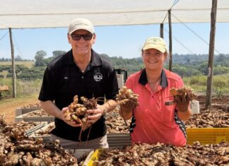 Getting a bit of dirt on their hands