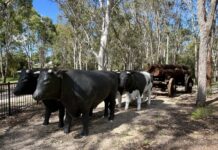 Safe, affordable country haven