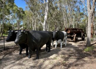 Safe, affordable country haven