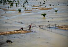 Dealing with disasters