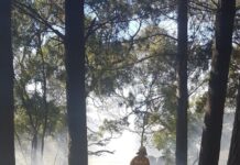 Prepare for the worst