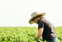 Course targets innovation