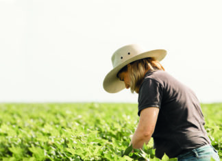 Course targets innovation