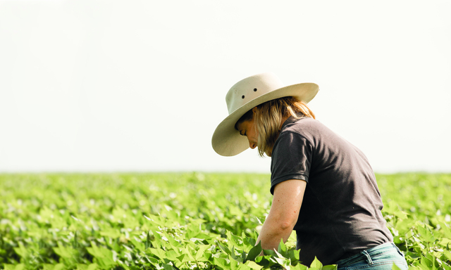 Course targets innovation