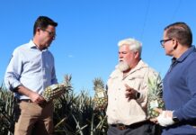 No supermarket transparency for families in 2026: Littleproud