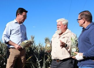 No supermarket transparency for families in 2026: Littleproud