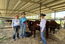 Young breeders signal strong future