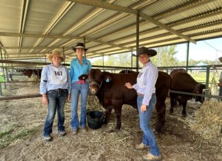 Young breeders signal strong future