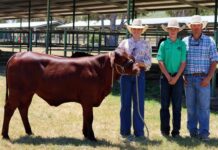 Hunter snares his highly-fancied female