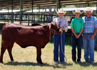 Hunter snares his highly-fancied female