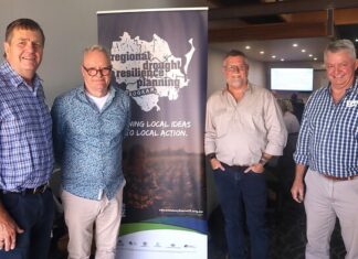 Building resilience for the Burnett