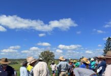 Empowering adaptive graziers