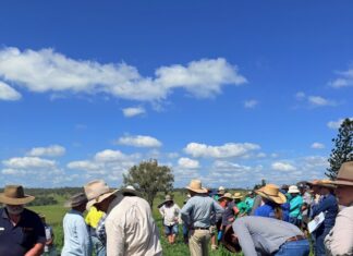 Empowering adaptive graziers