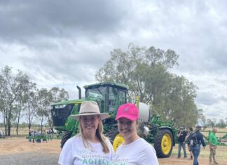 From gap year to trailblazer