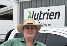 Rain revives confidence