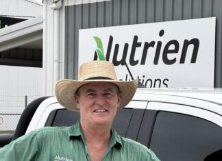 Rain revives confidence