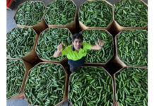 Funky Food wants imperfects