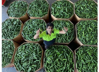 Funky Food wants imperfects