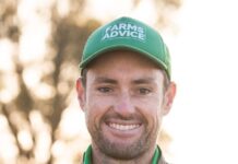 Look to build business