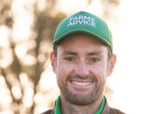 Look to build business