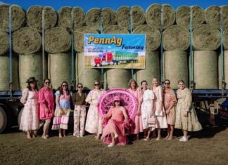 From bush lunch to lifeline