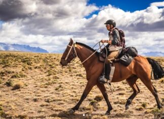 Hoofbeats around the world