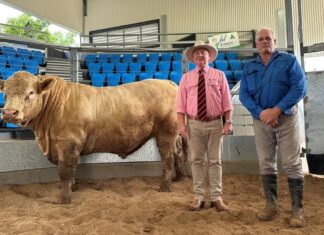 New date for bull sale