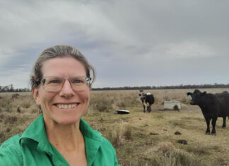 Regenerative gains ground