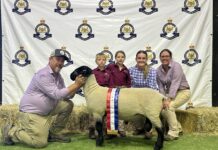 Incredible show results