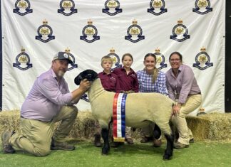 Incredible show results